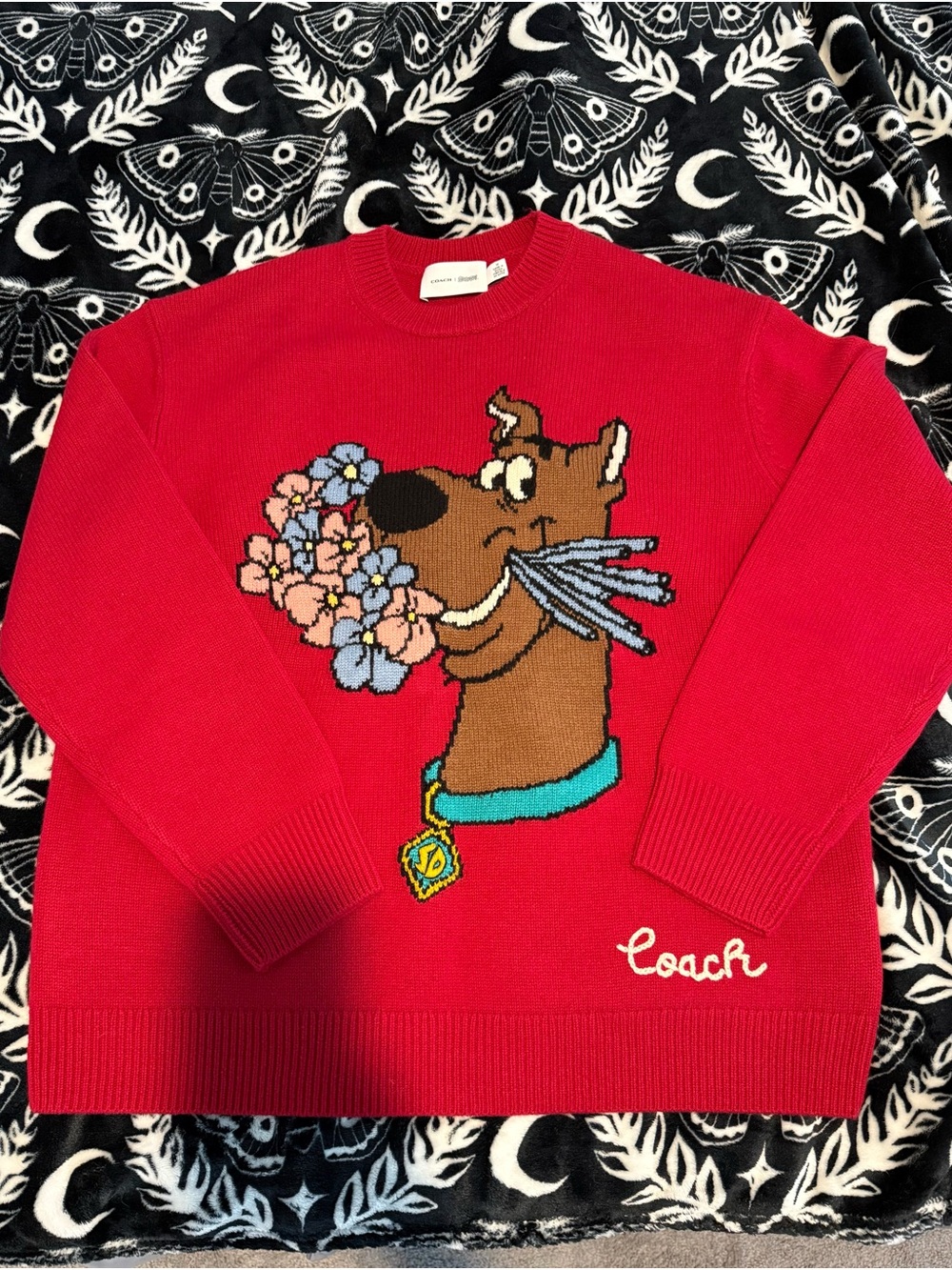 Coach x Scooby Doo Sweater